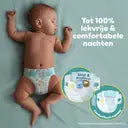 Pampers Baby Dry diapers size 4 (Next Day Delivery)