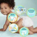 Pampers Premium size 3 (Next Day Delivery)