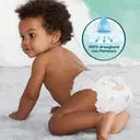 Pampers Harmonie Diapers Size 2 (Next Day Delivery)